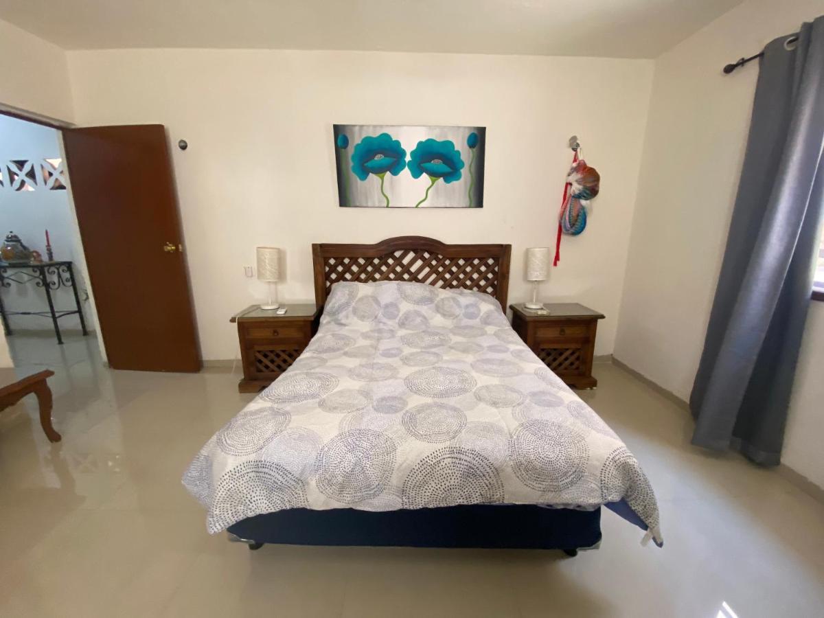 Villa Casa Del Artista à Mérida Extérieur photo